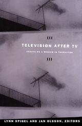 cover of Television after TV: Essays on a Medium in Transition