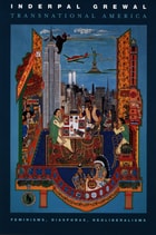 cover of Transnational America: Feminisms, Diasporas, Neoliberalisms