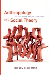 cover of Anthropology and Social Theory: Culture, Power, and the Acting Subject