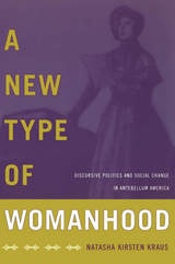 cover of A New Type of Womanhood: Discursive Politics and Social Change in Antebellum America