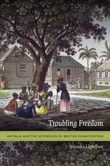 cover of Troubling Freedom: Antigua and the Aftermath of British Emancipation