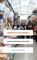 cover of Owners of the Sidewalk: Security and Survival in the Informal City