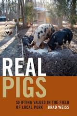 cover of Real Pigs: Shifting Values in the Field of Local Pork