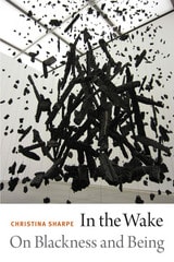 cover of In the Wake: On Blackness and Being