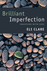 cover of Brilliant Imperfection: Grappling with Cure