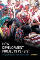cover of How Development Projects Persist: Everyday Negotiations with Guatemalan NGOs