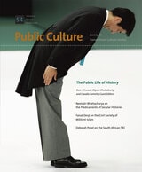 cover of The Public Life of History, Volume 20