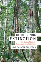 cover of Decolonizing Extinction: The Work of Care in Orangutan Rehabilitation