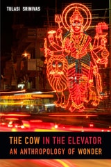cover of The Cow in the Elevator: An Anthropology of Wonder