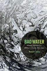 cover of Bad Water: Nature, Pollution, and Politics in Japan, 1870-1950