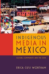 cover of Indigenous Media in Mexico: Culture, Community, and the State