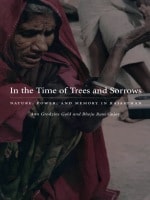 cover of In the Time of Trees and Sorrows: Nature, Power, and Memory in Rajasthan