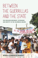 cover of Between the Guerrillas and the State: The Cocalero Movement, Citizenship, and Identity in the Colombian Amazon