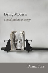cover of Dying Modern: A Meditation on Elegy