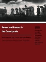 cover of Power and Protest in the Countryside: Studies of Rural Unrest in Asia, Europe, and Latin America