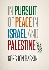 cover of In Pursuit of Peace in Israel and Palestine
