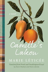 cover of Camille's Lakou: A Novel