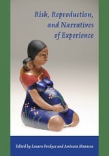 cover of Risk, Reproduction, and Narratives of Experience