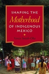 cover of Shaping the Motherhood of Indigenous Mexico