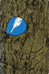 cover of True Country: Themes in the Fiction of Flannery O'Connor