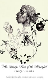 cover of This Strange Idea of the Beautiful