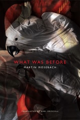 cover of What Was Before