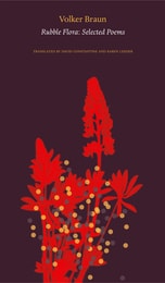 cover of Rubble Flora: Selected Poems
