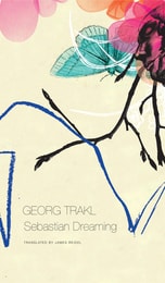 cover of Sebastian Dreaming