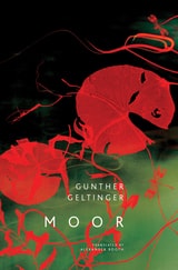 cover of Moor