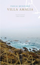 cover of Villa Amalia