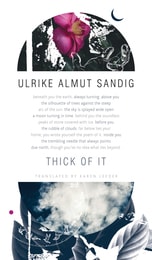 cover of Thick of It