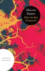 cover of Where the Bird Disappeared