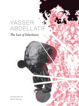 cover of The Law of Inheritance