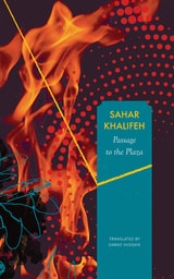 cover of Passage to the Plaza