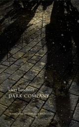 cover of Dark Company: A Novel in Ten Rainy Nights