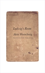 cover of Ludwig's Room
