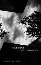 cover of What Darkness Was
