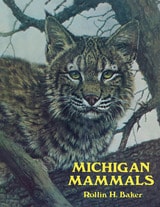 cover of Michigan mammals 