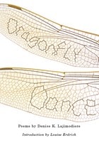cover of Dragonfly Dance