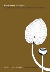 cover of Freshwater Wetlands: A Guide to Common Indicator Plants of the Northeast