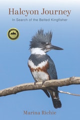 cover of Halcyon Journey: In Search of the Belted Kingfisher