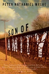 cover of Son of Amity