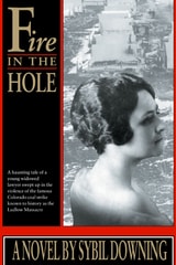 cover of Fire in the Hole