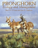 cover of Pronghorn: Ecology & Mangemt: Ecology and Management