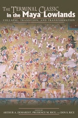 cover of The Terminal Classic in the Maya Lowlands: Collapse, Transition, and Transformation