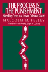cover of The Process is the Punishment: Handling Cases in a Lower Criminal Court