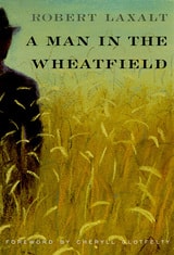 cover of A Man in the Wheatfield