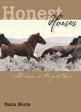 cover of Honest Horses: Wild Horses In The Great Basin