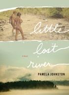 cover of Little Lost River: A Novel
