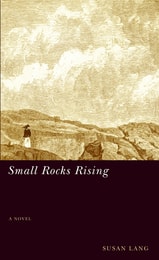 cover of Small Rocks Rising: (A Novel)